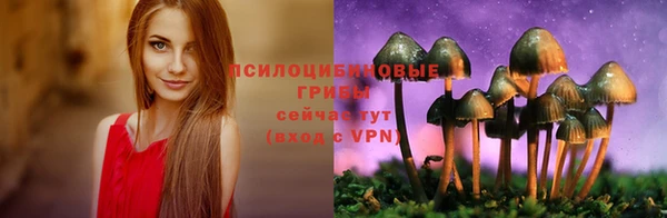 альфа пвп Богданович