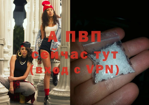 трава Белокуриха