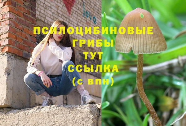альфа пвп Богданович