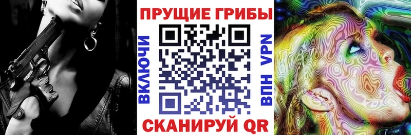 Галлюциногенные грибы Psilocybe  Белокуриха 
